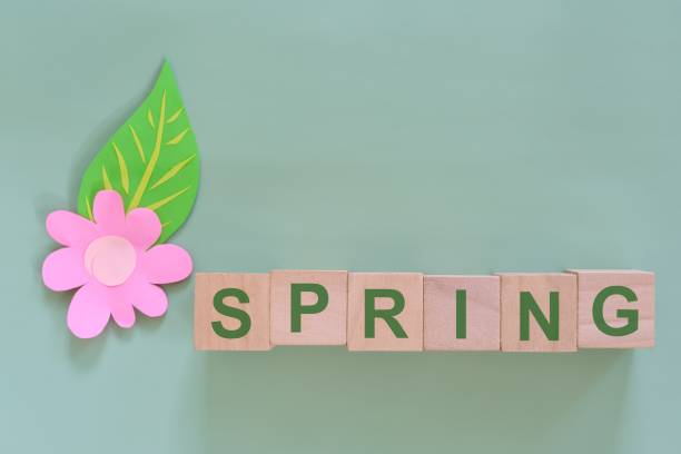 Spring season word typography in minimalist green backdrop with leaf and flower design.