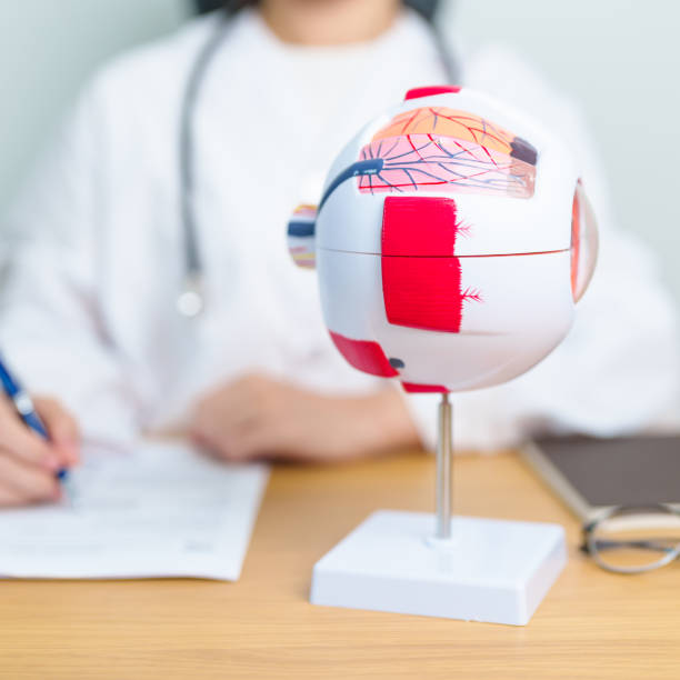 istock Doctor with human Eye anatomy model with magnifying glass. Eye disease, Refractive Errors, Age Related Macular Degeneration, Cataract, Diabetic Retinopathy, Glaucoma, Amblyopia, Strabismus and Health 1979575281