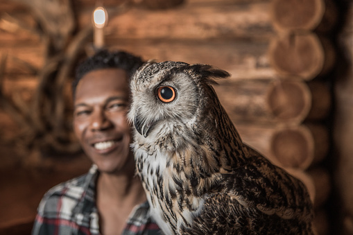 An bird of prey owlet on a handler's glove