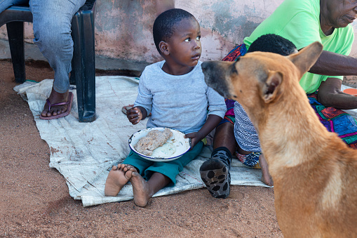 poverty in the village, african child eating in the yard some porridge and a dog looking at him