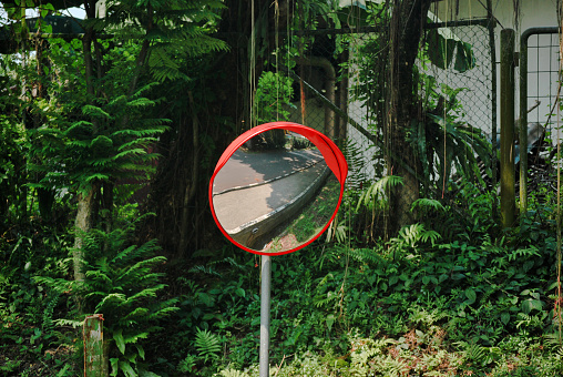 Road traffic convex mirror