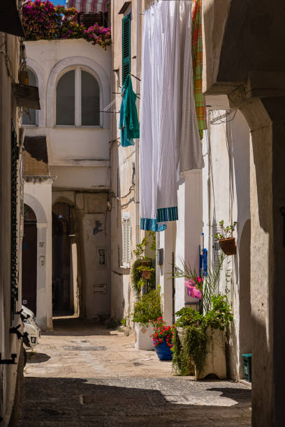 istock Alley scenery of Procida, Italy 1979645662