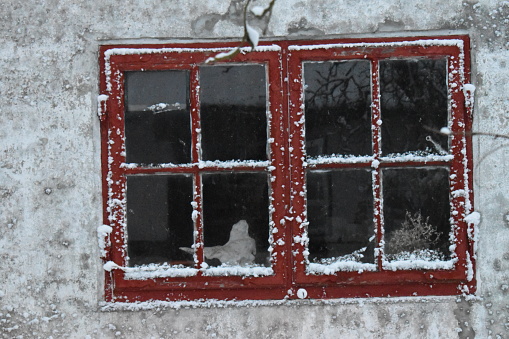 Woman watching behind the window the falling snow