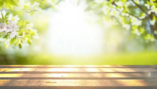 Beautiful original background image for creative work with young foliage and a wooden base. Beautiful original background image for creative work with young foliage and a wooden base.