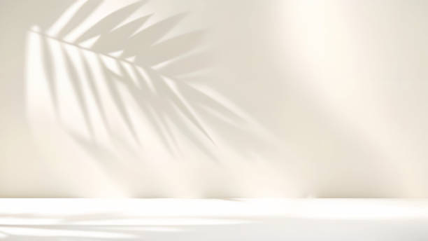 istock An original background image in beige tones with a shadow from a palm tree on the wall for creative work. 1979676057