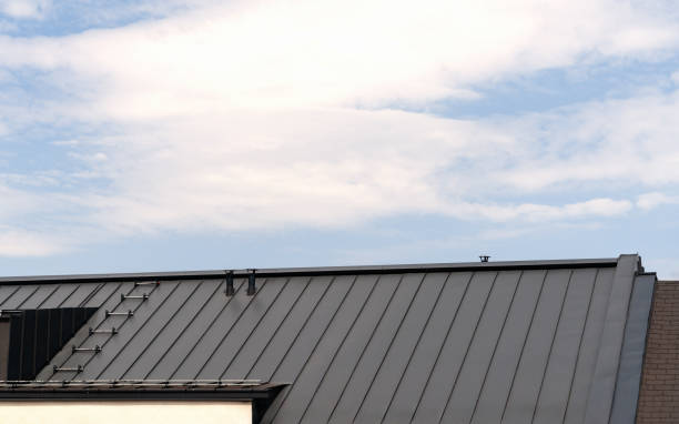 istock Metal roofing. Rooftop in front of sky. 1979692269