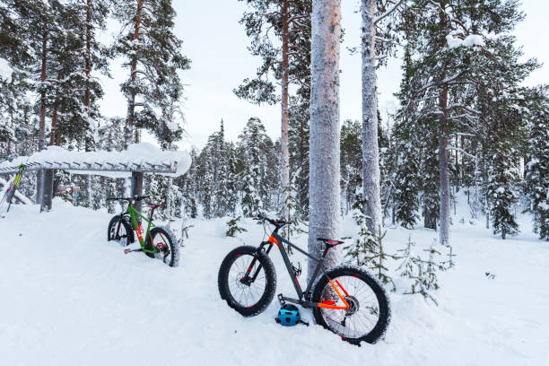 istock Bicycles leaning against snow-covered trees, Lapland 1979700267