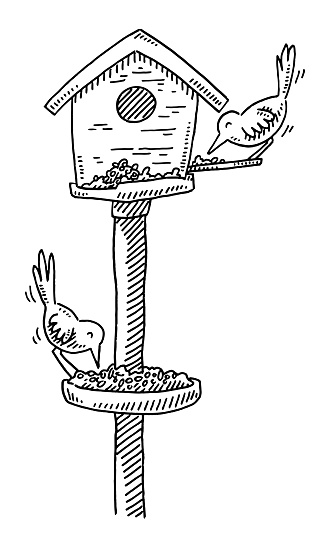 Hand-drawn vector drawing of Cartoon Birds At a Feeding Place. Black-and-White sketch on a transparent background (.eps-file). Included files are EPS (v10) and Hi-Res JPG.