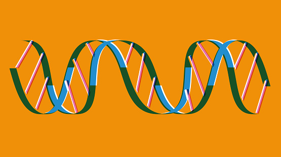 DNA vintage illustration