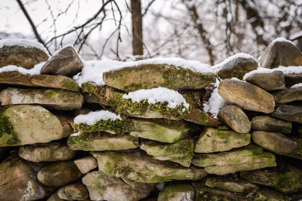 istock Snow and moss covered stone fence. 1979724927