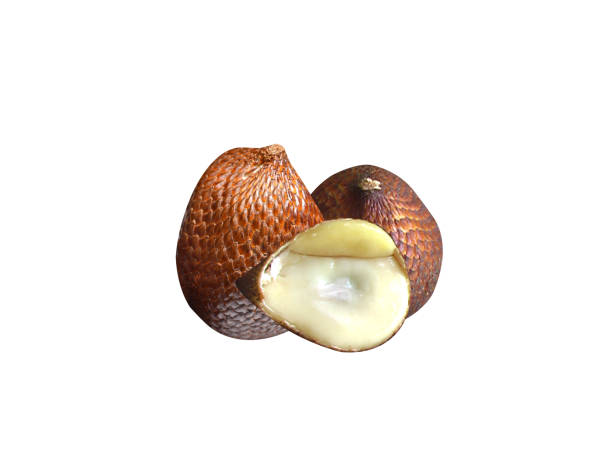 Salak or Salacca zalacca is cultivated in other regions of Indonesia as a food crop