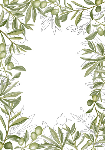 Hand drawn watercolor frame with olive branches and leaves on white background. Perfect for creating cards, print, wedding invitation.