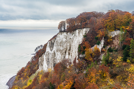 Autumn colours at the chalk cliff in Jasmund National Park on an overcast day