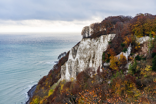 Chalk cliff in Jasmund National Park on an overcast day in autumn with colorful trees
