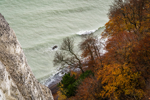 Waves breaking at the chalk cliff of Jasmund National Park with colourful trees in the foreground