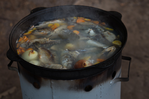 camping food. cooking fish soup from crucian carp in a cauldron over a fire in nature