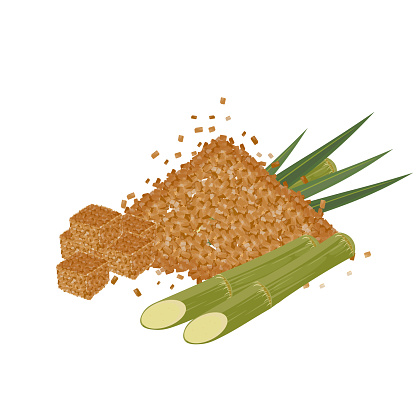 Vector illustration of brown sugar with sugar cane