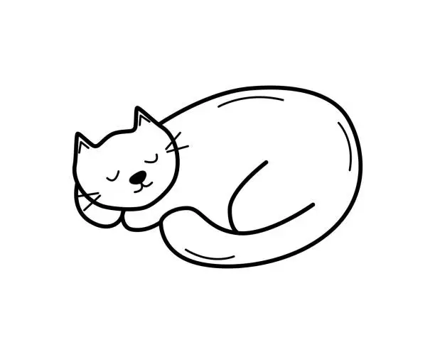 Vector illustration of Cute cartoon cat is sleeping. Vector doodle illustration of a funny pet cat. Isolate on white.