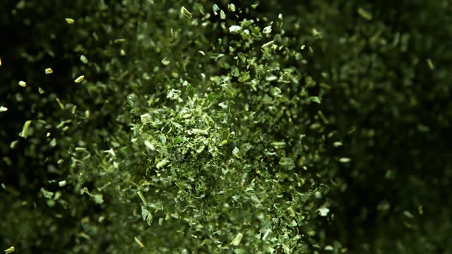 Super slow motion of flying dry herbs.