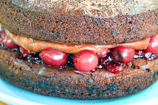 Stock photo showing close-up view of a homemade, luxury, Black Forest gateau displayed on a turquoise plate. Pictured are two chocolate sponges separated by a filling of cherry jam, whole morello cherries and chocolate buttercream, seen oozing out of the middle. The top of the cake has been dusted with hot chocolate powder. Home baking concept.