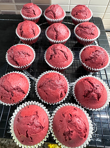 Stock photo showing elevated view of a batch of freshly baked, homemade,  red velvet cupcakes in paper cake cases on a rectangular, metal wire cooling rack. Home baking concept.