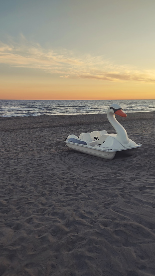 Isolated swan-shaped pedal boats at sunset on the beach in Latina in Lazio