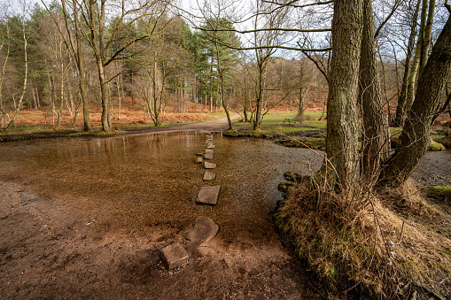 The stepping stones also known as the hangmans stones at Sherbrook valley, Cannock Chase, Staffordshire, UK during winter.