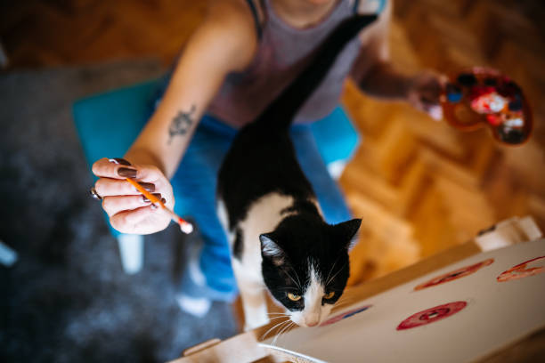 istock My cat gives me inspiration 1979920376