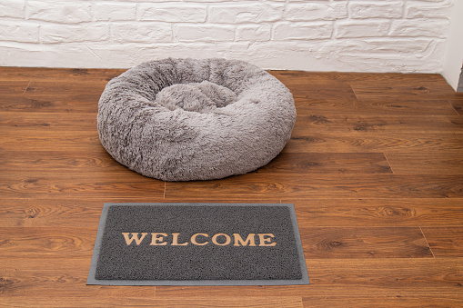Fluffy pet bed in the room. rug with the inscription 