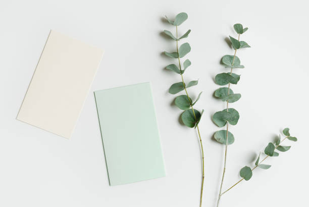 istock Blank green cards for text on light white background, Greeting or invitation card with eucalyptus branches. Minimal aesthetic lifestyle. Natural organic eco conceptual photo, flat lay 1979938817