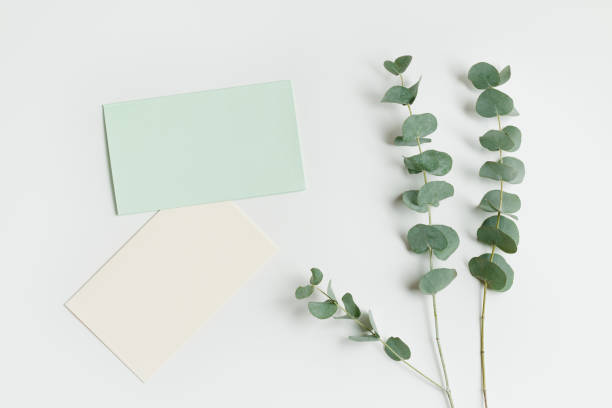 istock Blank green cards for text on table, Greeting or invitation paper texture empty card with eucalyptus branches. Flat lay in green colored, copy space, minimal life style Natural organic concept 1979938821