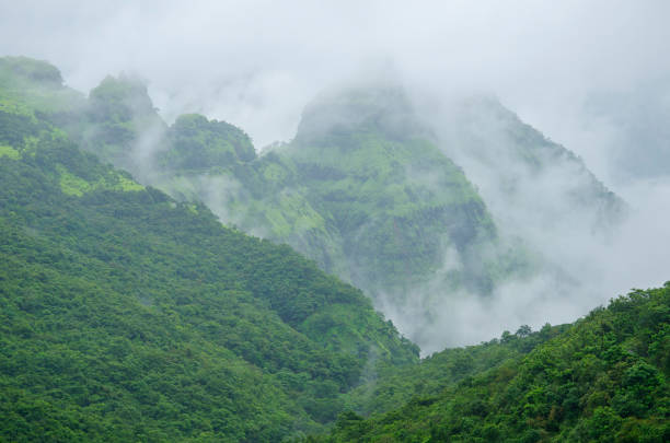 istock Lush green monsoon nature landscape 1979954601