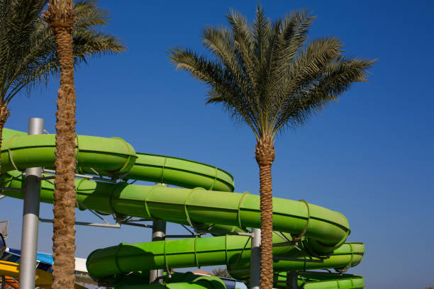 Green water slide with extreme turns between two palm trees on a sunny day against a blue sky