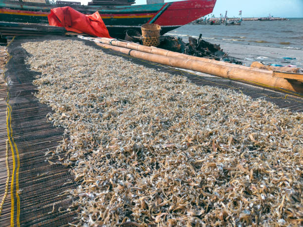photo of a salted fish drying rack on a Weru village beach with small salted fish being dried on it with a blue sea background