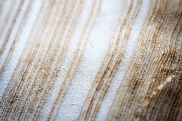 Extreme closeup of an old book from the side. Selective soft focus, shallow depth of field. Bibliophile, bookworm abstract background