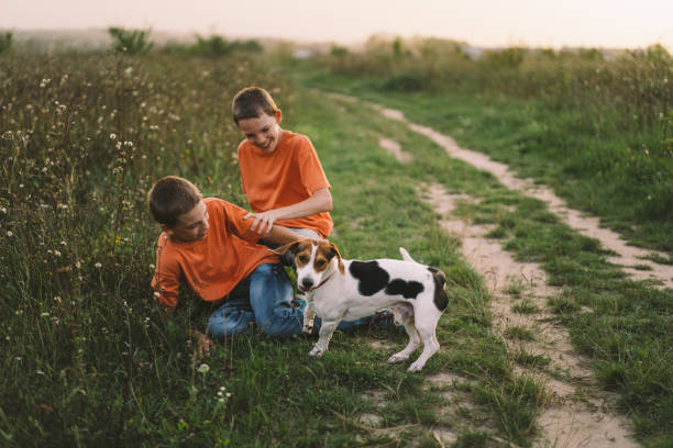 istock Funny twin brother boys 1980106603