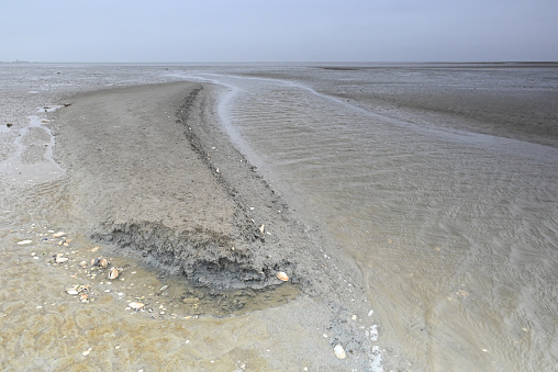 Priel and small sandbank in the Wadden Sea