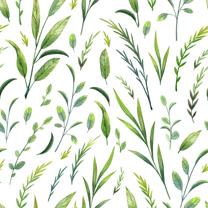 Romantic plants background. Green botanical wallpapers in retro style with wild plants