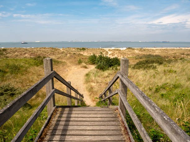 istock Western Scheldt river beach, Breskens, Zeeland, Netherlands 1980162362
