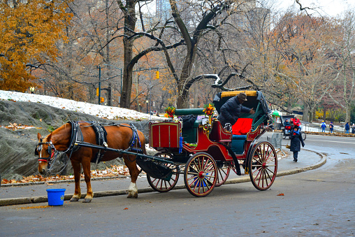 New York, USA, April 10, 2023 - Horse-drawn carriages / tourist carriages in Central Park, New York City.