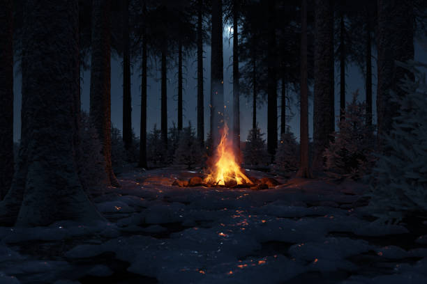 istock 3d rendering of bonfire in a snowy forest and moonlight sky. 1980200036
