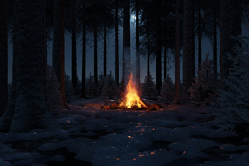 3d rendering of bonfire in a snowy forest and moonlight sky.