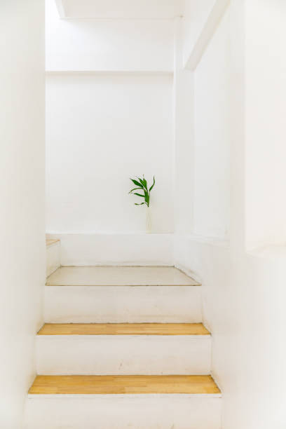 istock white stairway There is a small tree decorated 1980221036