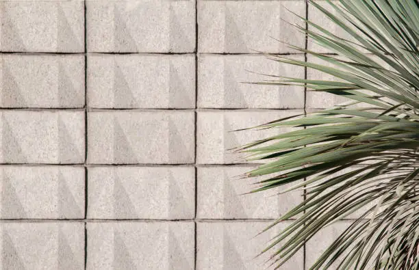 A modern gray block wall with an angled textured pattern and a yucca cactus plant.