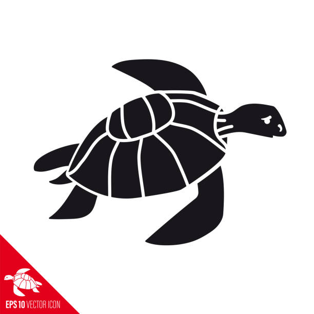 illustrazioni stock, clip art, cartoni animati e icone di tendenza di icona vettoriale della tartaruga marina - sea turtle square shape square endangered species