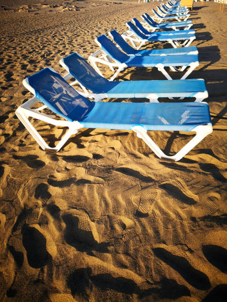 Beach and palm tree shadow summer holiday travel background, 3d render.