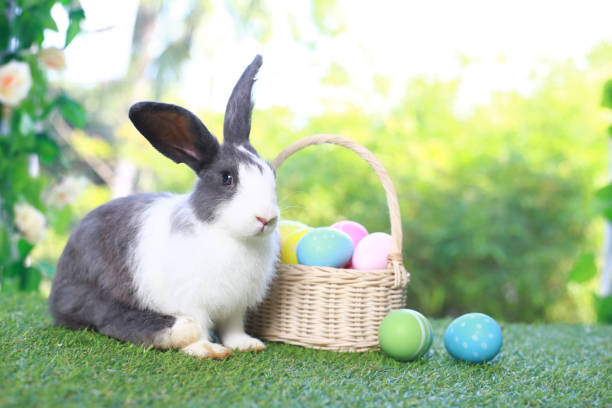 istock Cute fluffy white with black spot rabbit with long ears with colorful easter eggs basket in flower garden, bunny animal on green grass with easter egg. Happy spring celebration holiday festival. 1980251170