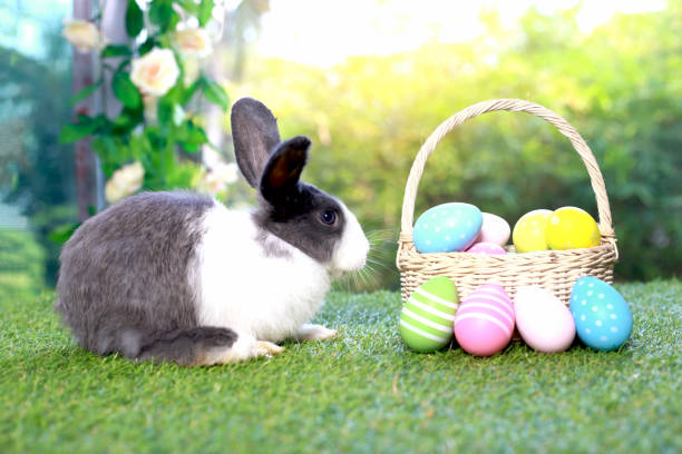 istock Cute fluffy white with black spot rabbit with long ears with colorful easter eggs basket in flower garden, bunny animal on green grass with easter egg. Happy spring celebration holiday festival. 1980251788