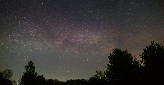 night starry sky with milky way above forest silhouette