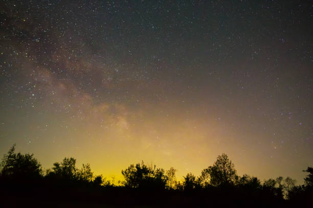 night starry sky with milky way above forest silhouette